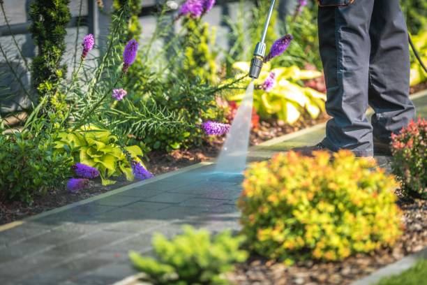 Trusted Gonzales, TX Pressure Washing Services Experts
